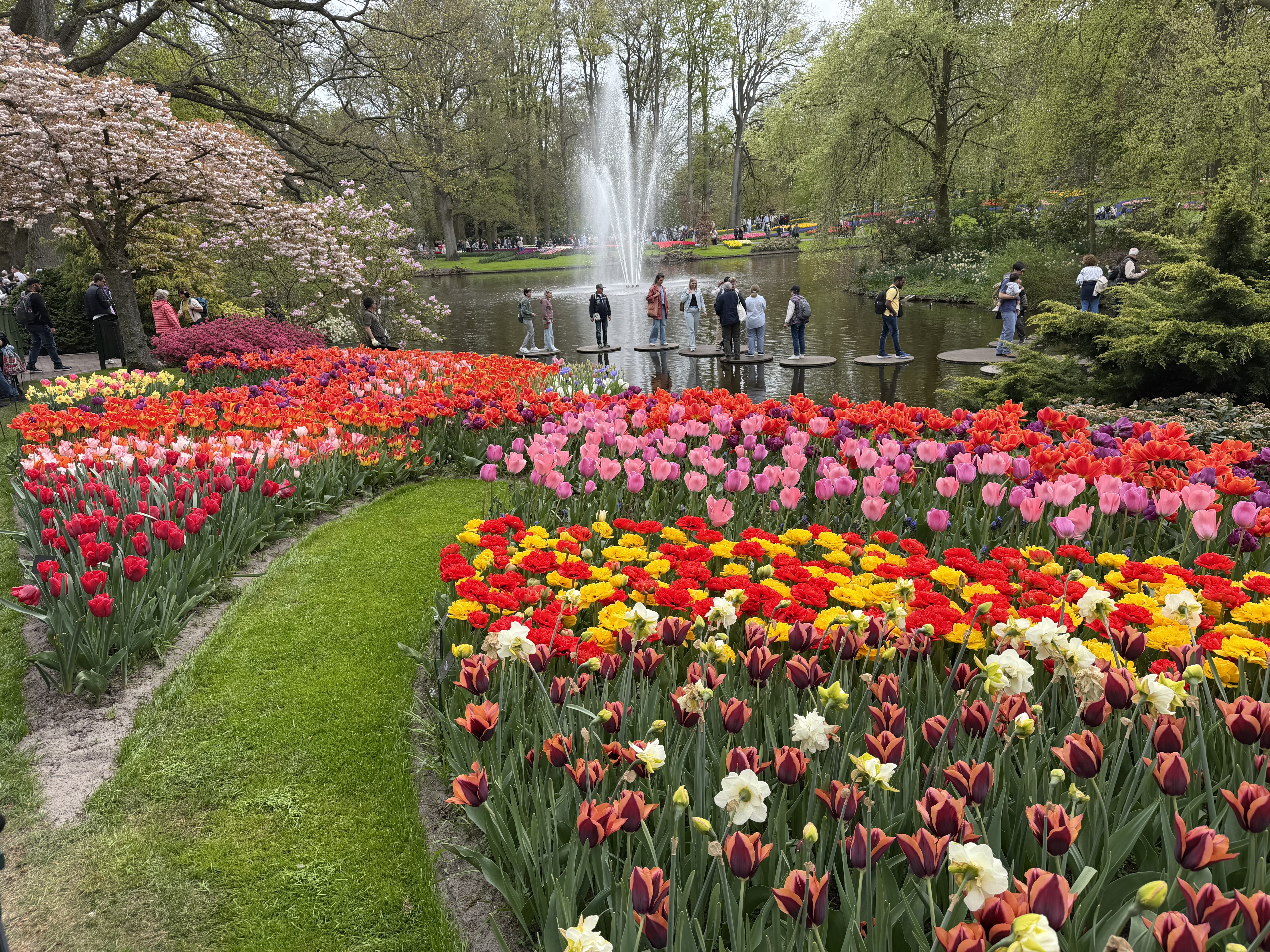 Holland - 5 dagar med Blomstert�get